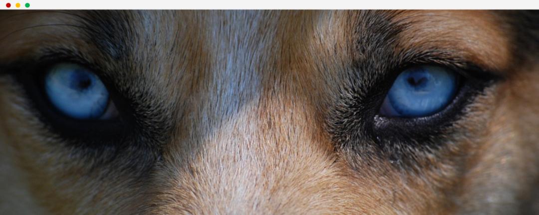 刷刷手机、敲敲键盘就能日赚数百元?请小心这些割韭菜的套路