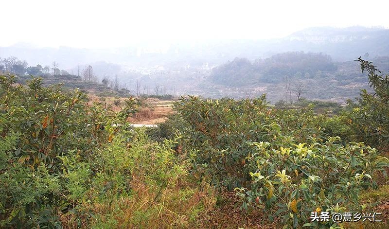 兴仁市巴铃镇花坝村加强技术培训巩固脱贫成效