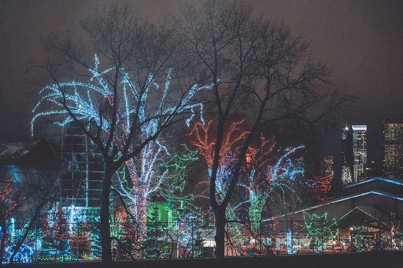 加拿大魁北克冰雪节,加拿大艾伯塔省节