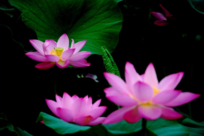 信佛相信佛的存在,信佛信则有不信则无