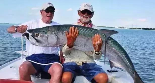 美国老布什总统逝世葬礼,美国前总统老布什跳伞