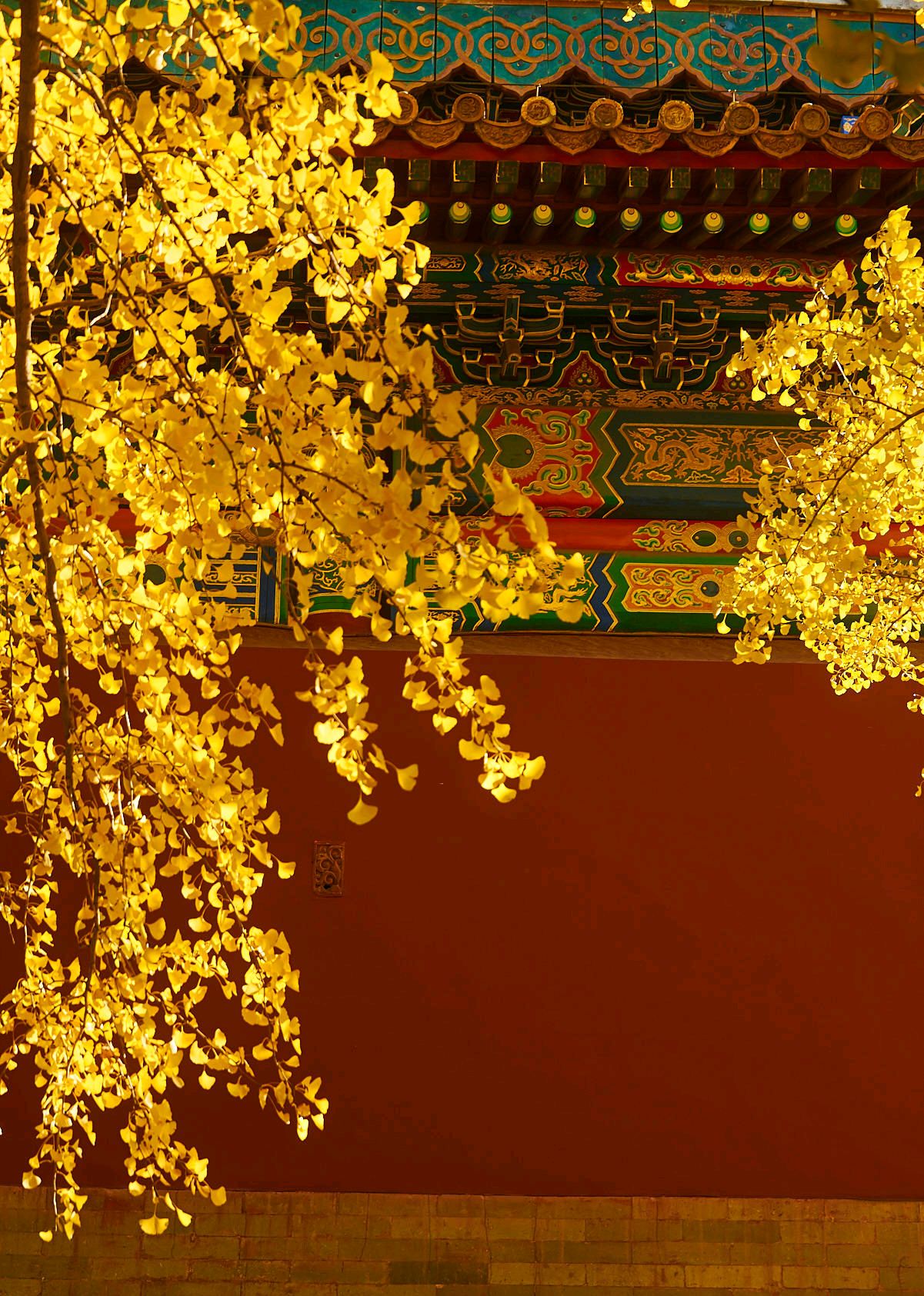 八月未央美文欣赏,七月未央散文