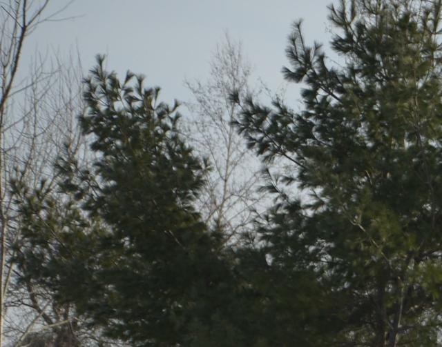 从适马105mmF1.4,来看中长焦人像大光圈镜头的设计挑战