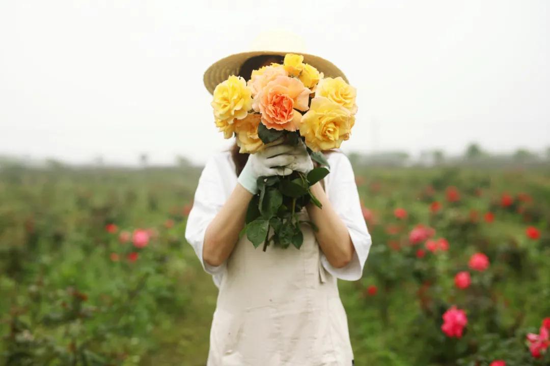 美到犯规！这个500亩的有机庄园，成三产融合教科书