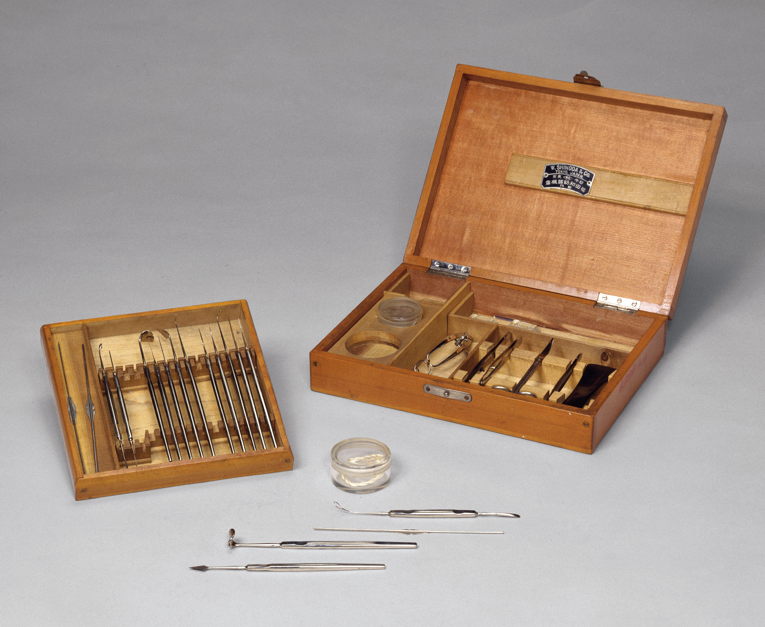 西洋医生,西洋医生全部视频