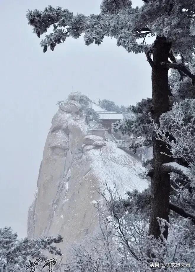 雪小禅意境经典语录,雪小禅的唯美句子