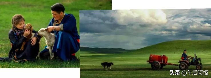 呼伦贝尔大草原旅游七天攻略预算,去呼伦贝尔可以自由行吗