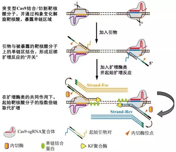 国产抗癌新药来啦,基因技术新突破