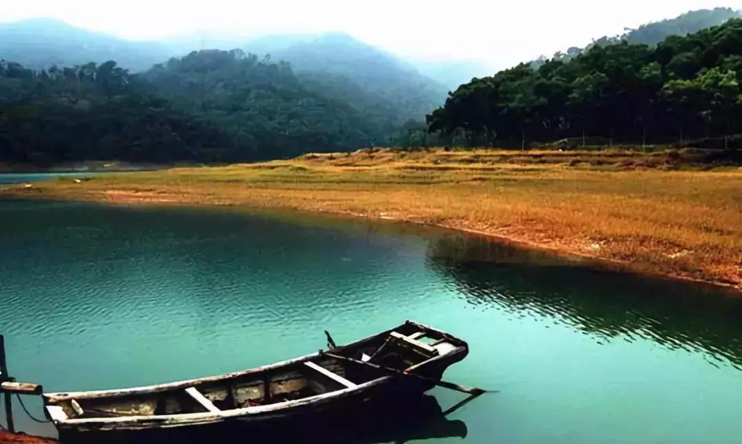 漳州和厦门全面对比,漳州和厦门经济比拼