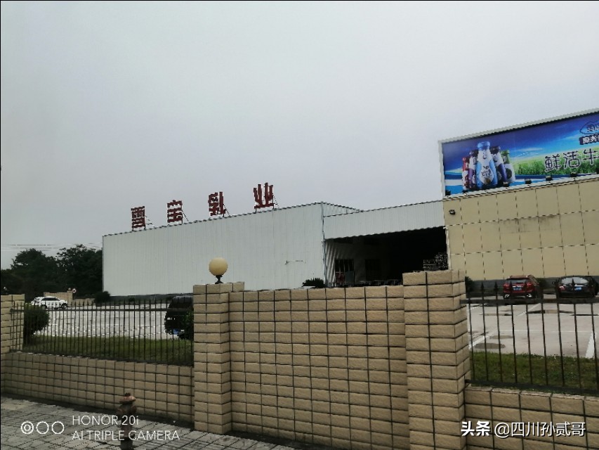 雪宝奶牛场,参观雪兰牛奶工厂心得体会