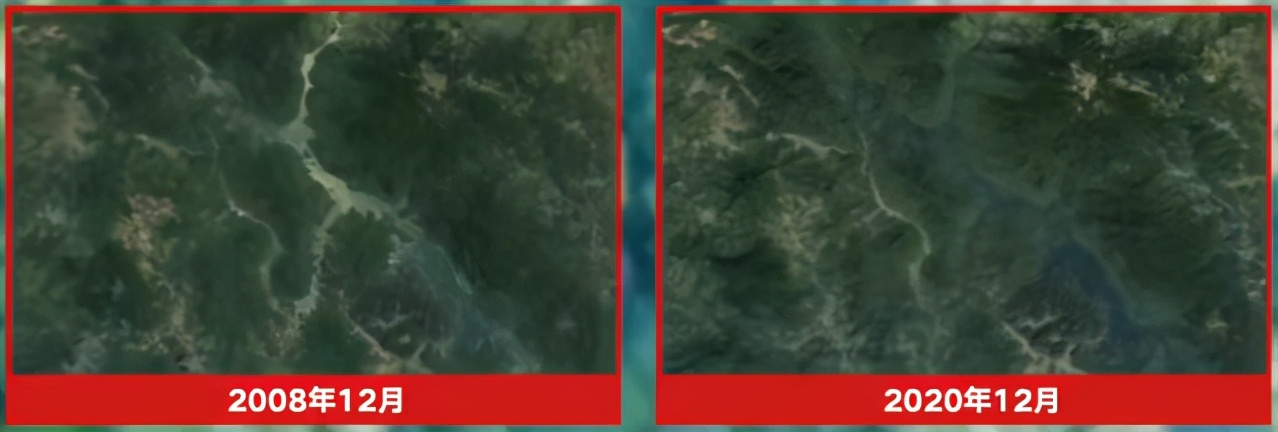 大象迁徙事件始末,大象迁徙为什么又回去了