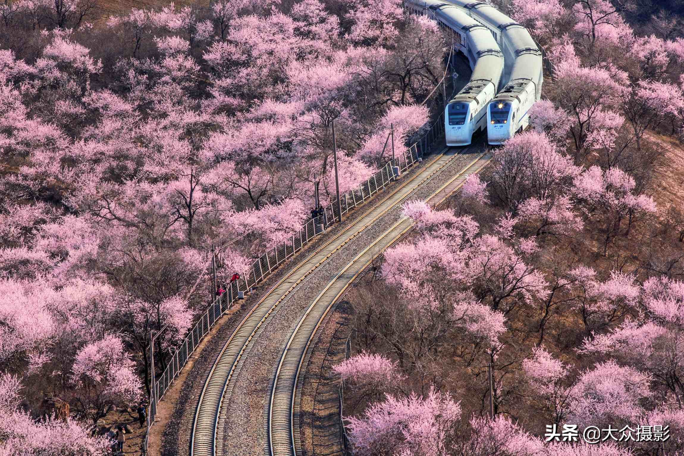 八种基本构图技巧,学会这九个实用构图技巧