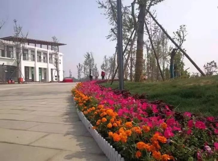 新乡南湖公园对比夏荷公园,新乡南湖公园优势