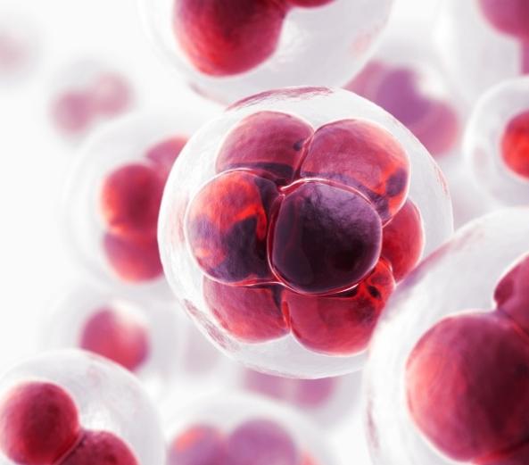 u牌口红用着怎么样,u牌纯植物口红