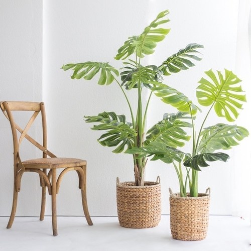 花艺插花常见花名有哪些,鲜花插花的技巧有哪些