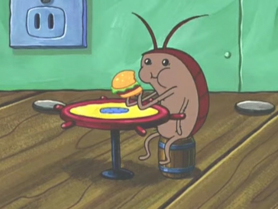 胆小者慎入！让*男猛**落泪的“南方小强”，为什么在中原频频出现？