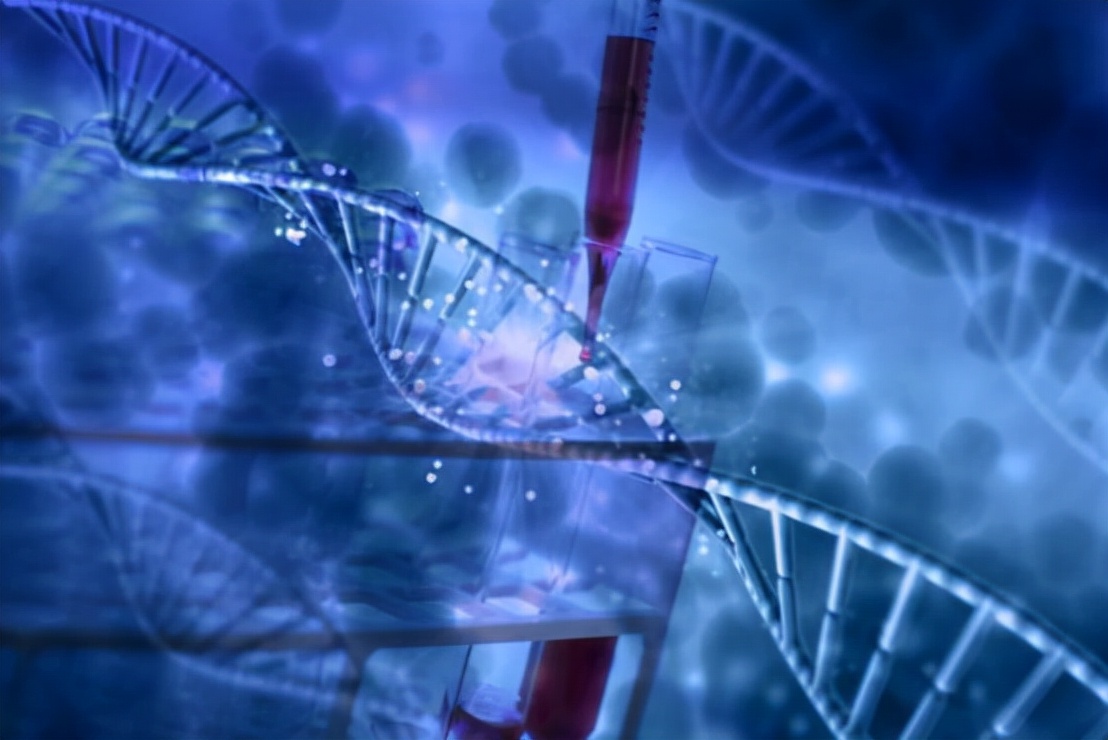 野生河豚食品安全吗,日本推出基因编辑河豚