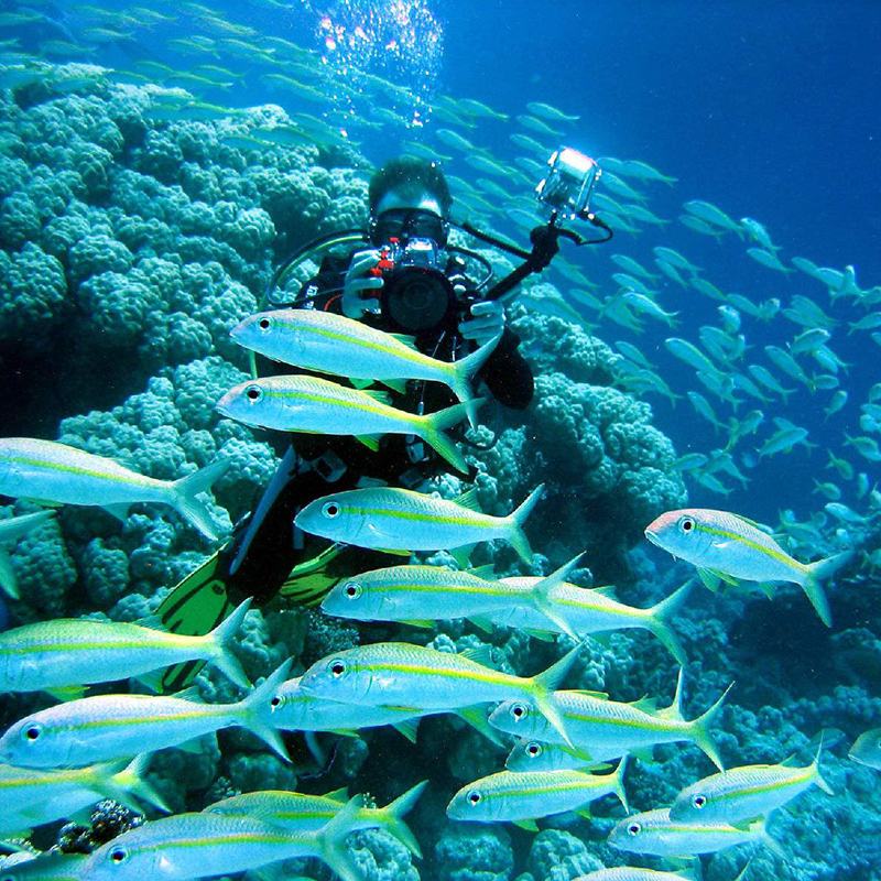 水肺潜水怎么克服恐惧,水肺潜水有哪些安全原则