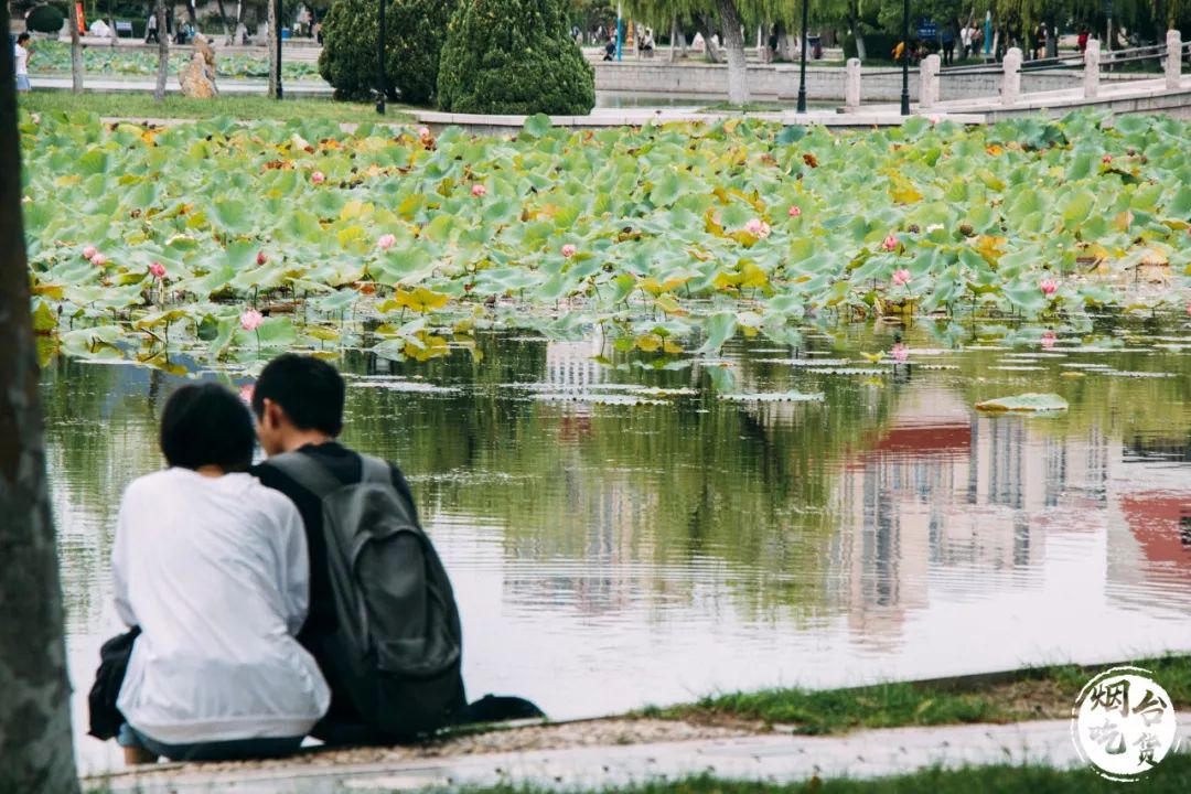 烟台大学各个餐厅,烟台大学有几家餐厅