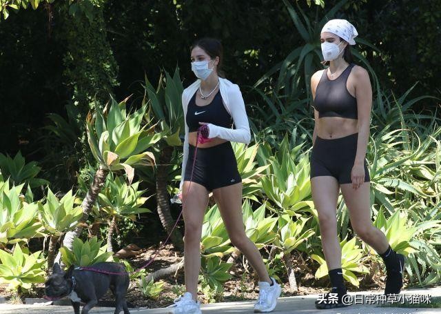 哈姆林秀肌肉,哈姆林姐妹