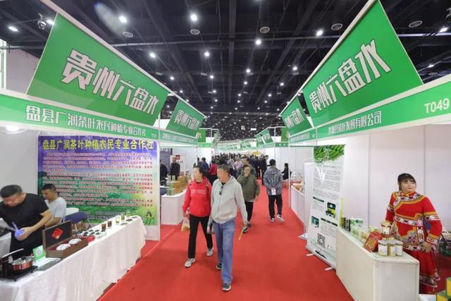 开幕了！“一日一城”等你来