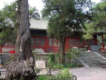 此地3000亩,只葬了一个家族,拥有10万多座坟冢,94年申遗成功