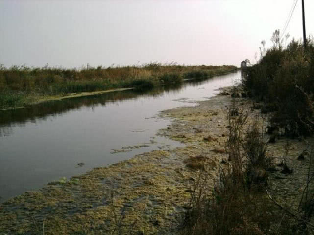 汽水钓海鱼视频,深水岸钓海鱼