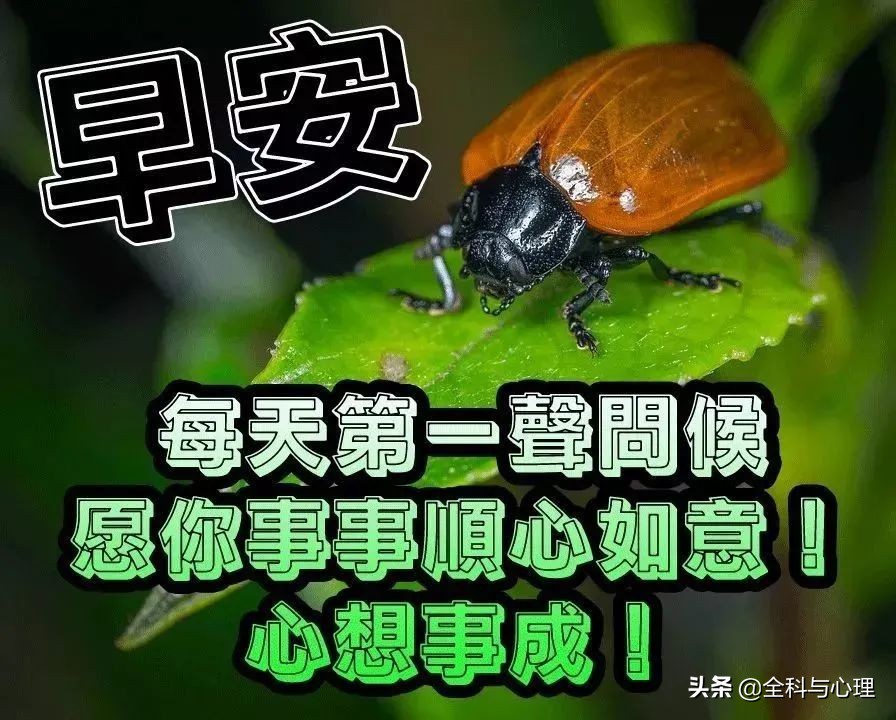 适合中老年人早上发的早上好短句,早上给情人问候早上好图片大全