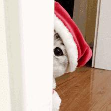 便宜水乳国货有哪些,值得购买的平价水乳推荐