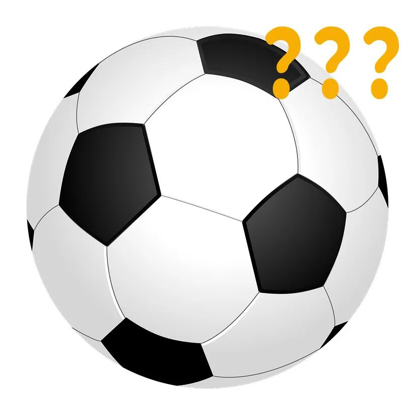 全球罕见足球猫冲上热搜,网友:指定染色!结果......哈哈哈哈