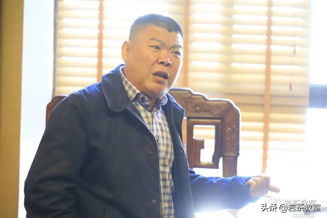 茶界大佬的商业机密,茶圈大佬的白茶