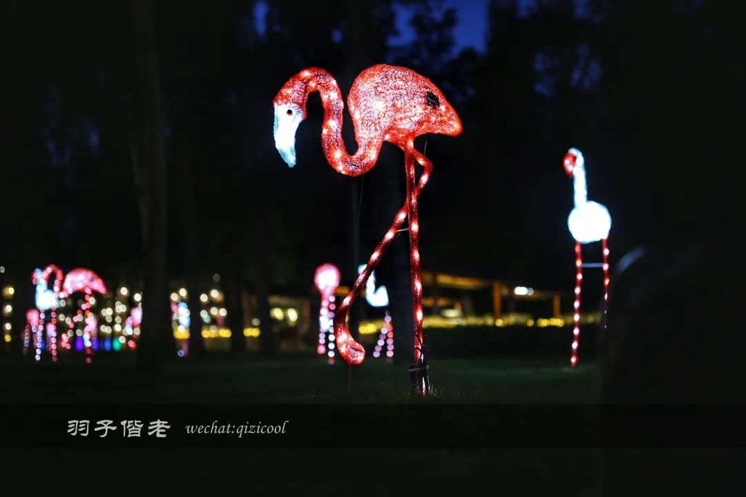 茂名最浪漫海岸在哪里,茂名浪漫海岸夕阳美如画