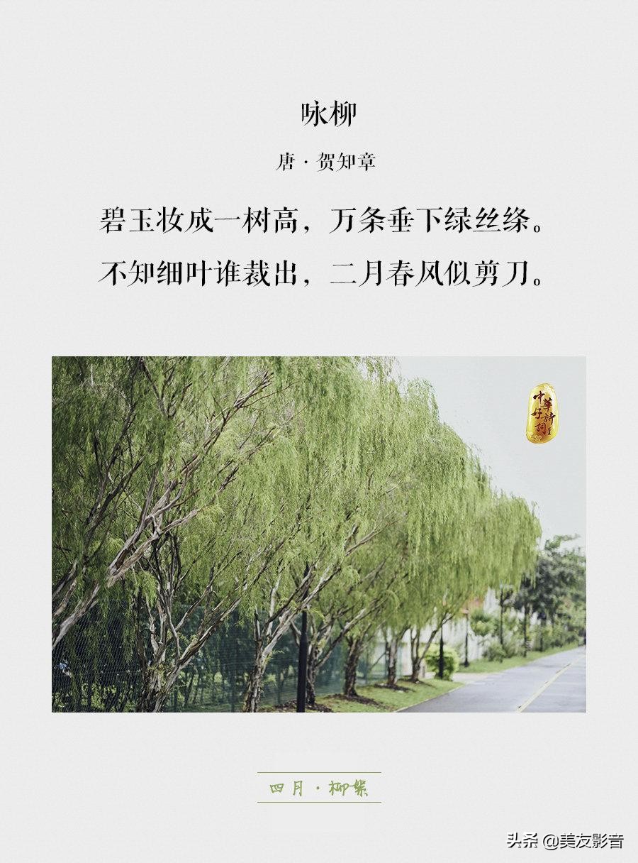 知识有哪些方面的,知识你了解了吗图片