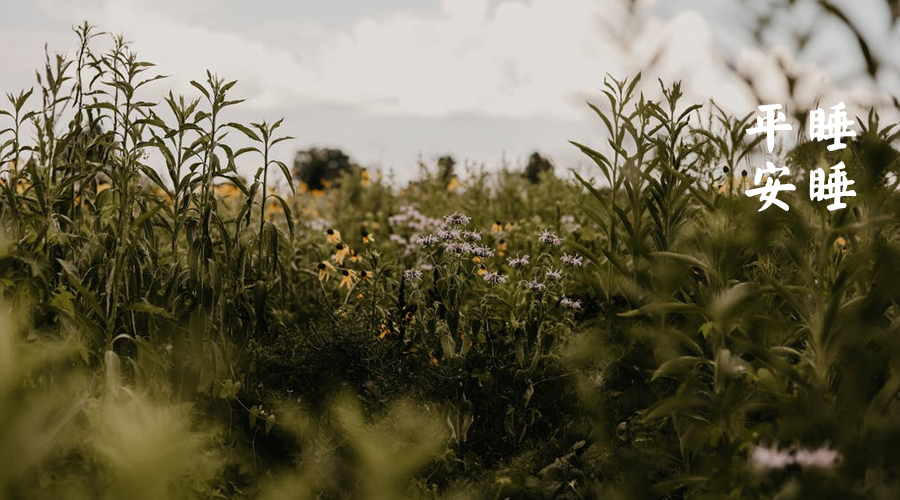 梁冬如何成为一个终身魅力的人,梁冬人生最好的状态