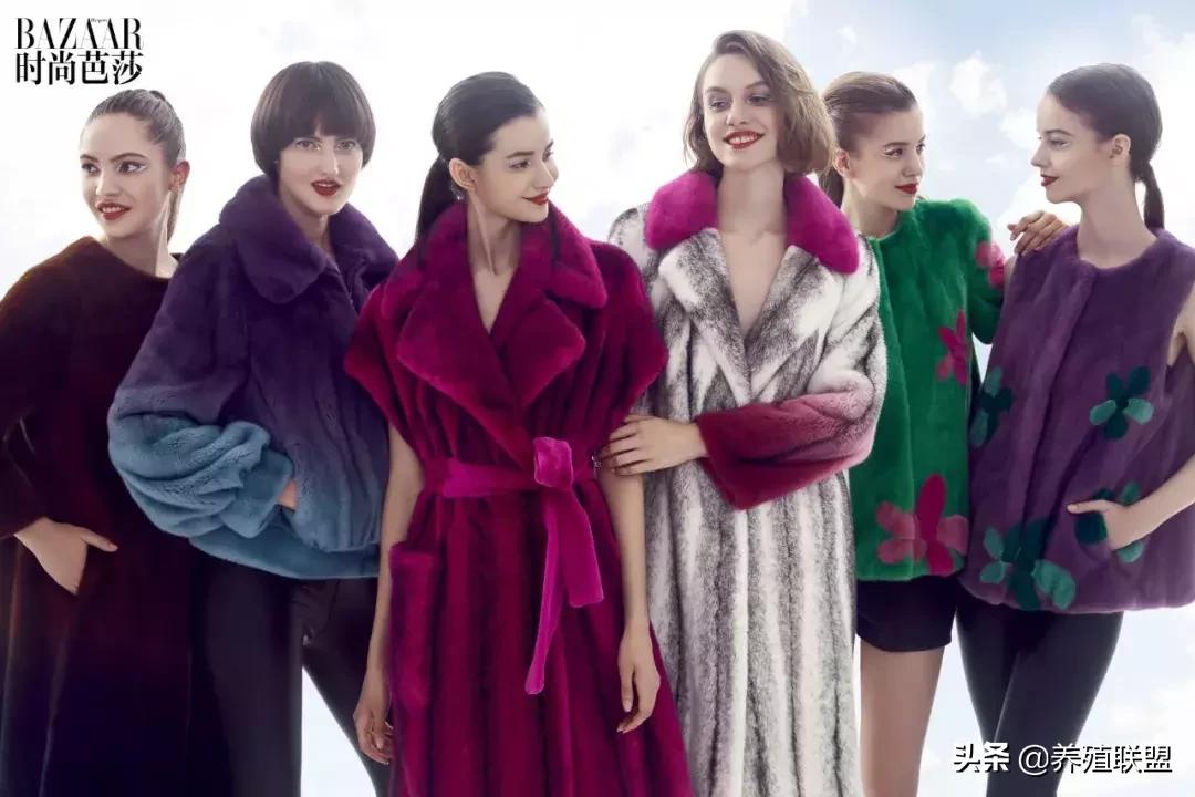 几千和几百的皮衣,一千块可以买什么档次的皮草