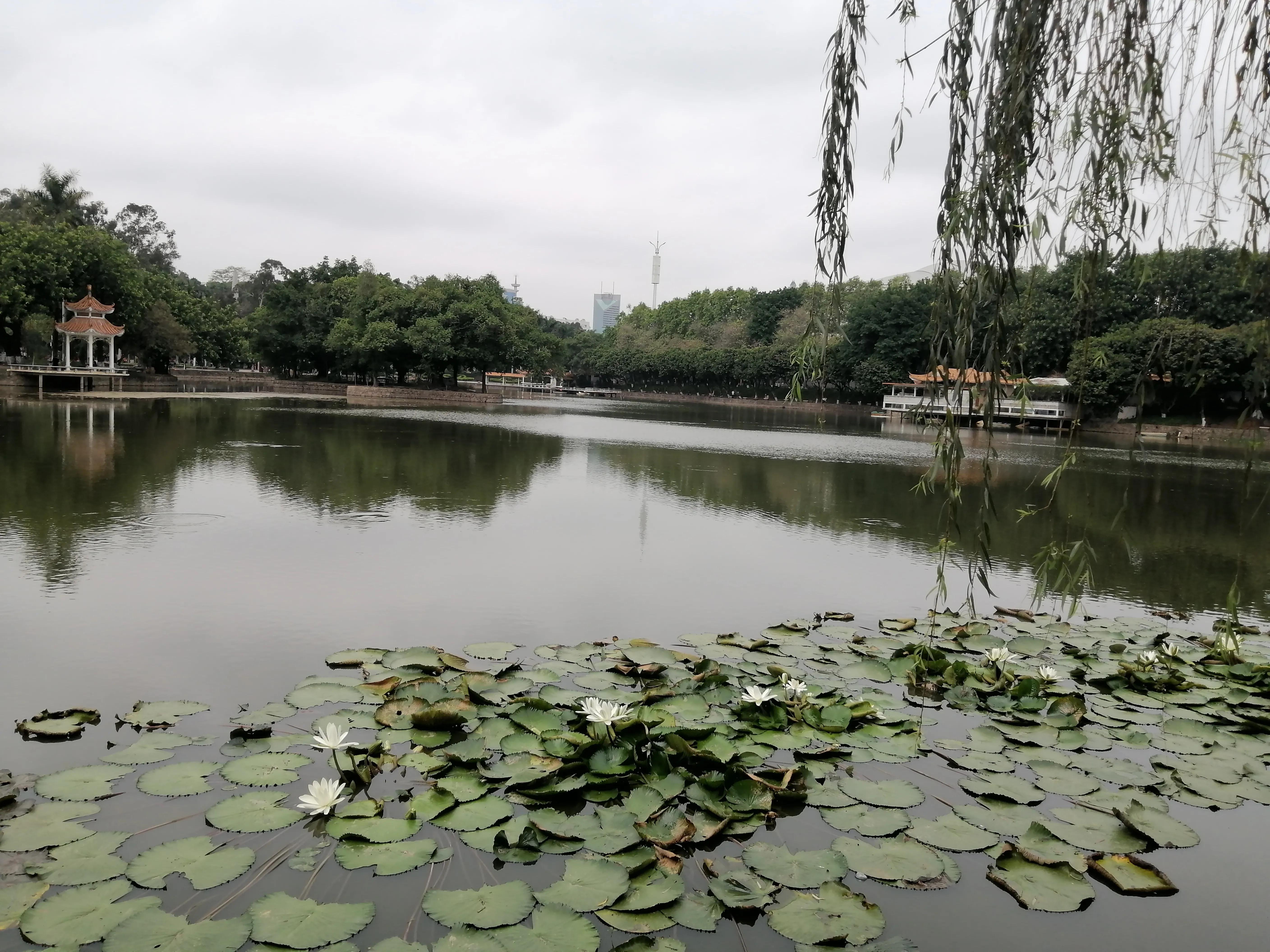 瀛ょ嫭鍘熷垱璇楁瓕,瀵傚癁鍘熷垱璇楁瓕澶у叏