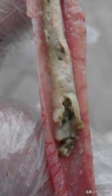 小鹅瘟苗啥时候打,小鹅瘟打多少