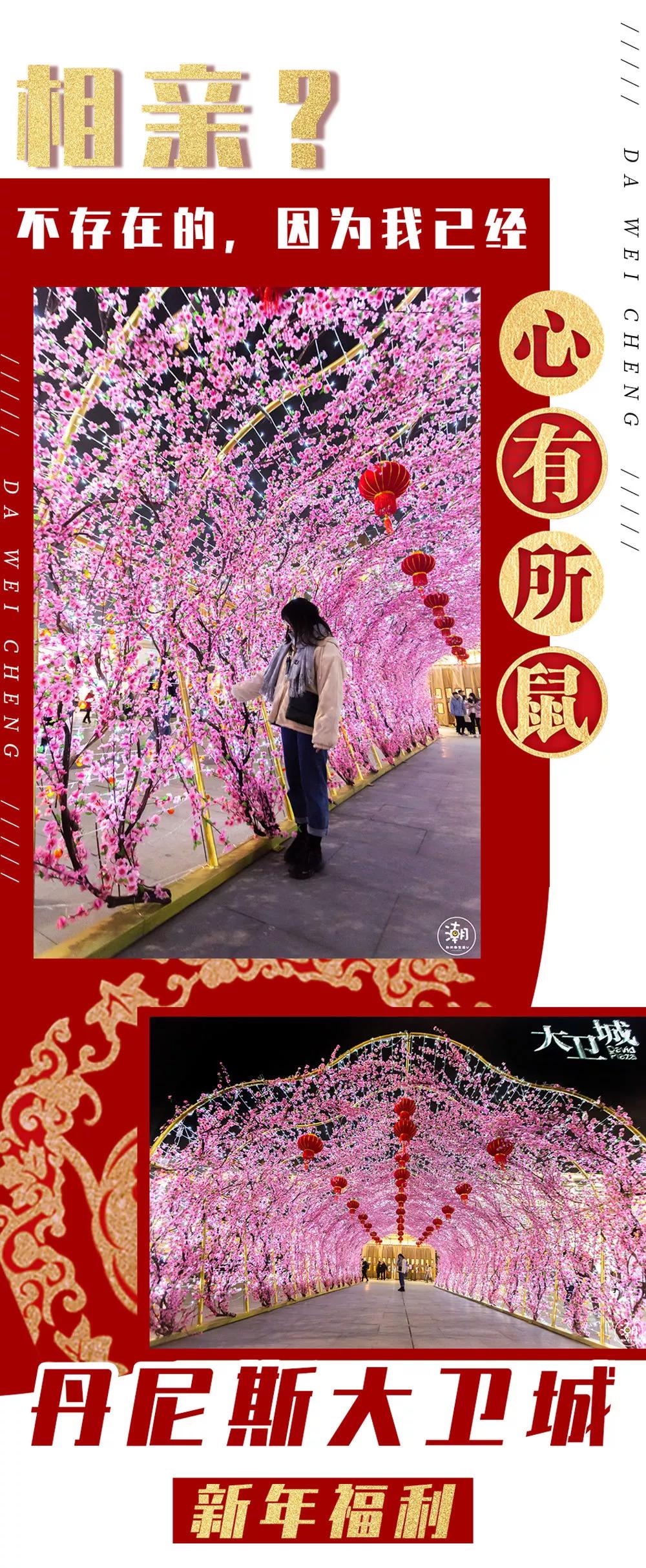 大卫城购物活动有哪些地方,大卫城室内活动