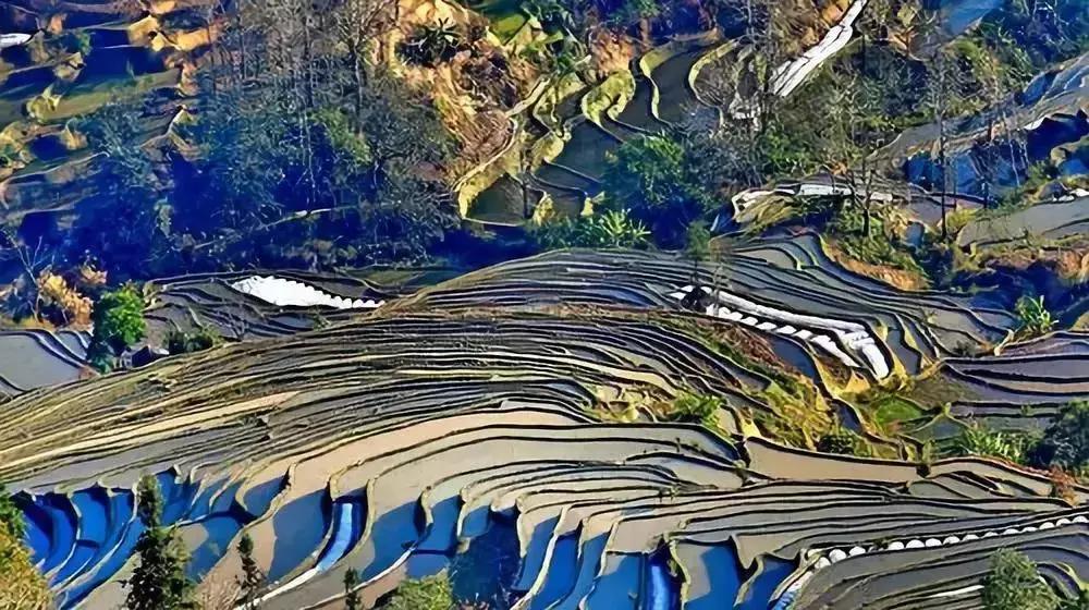 一路从南方到北方感受四季,成都最值得去的小城