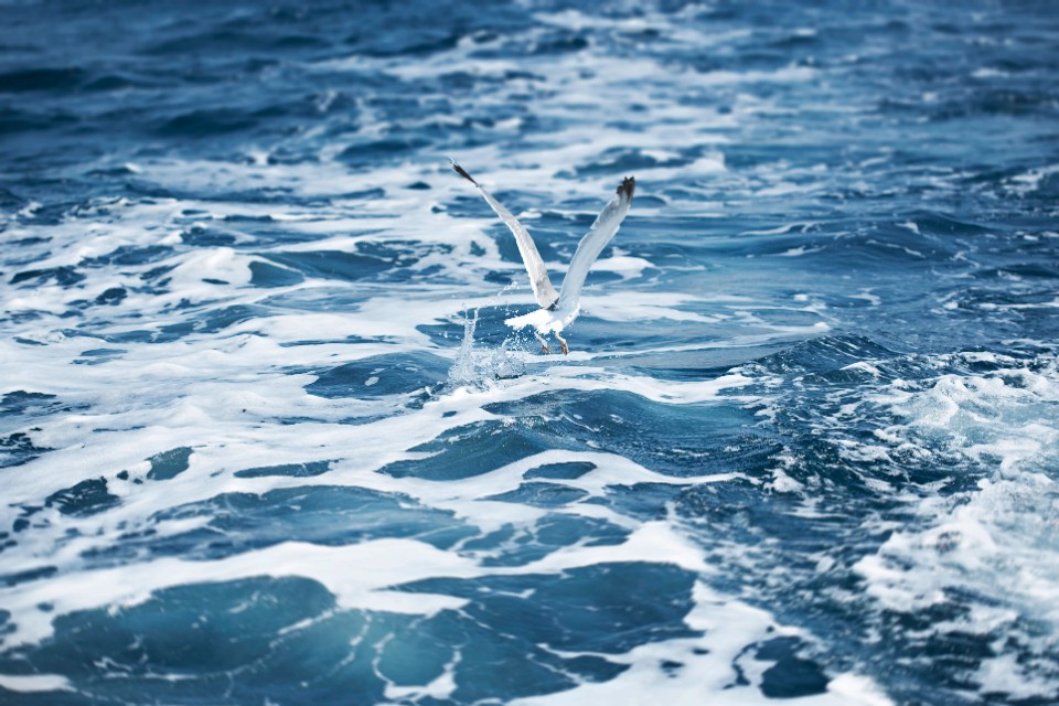 精美壁纸分享总有一款你喜欢的,精美壁纸风景无水印