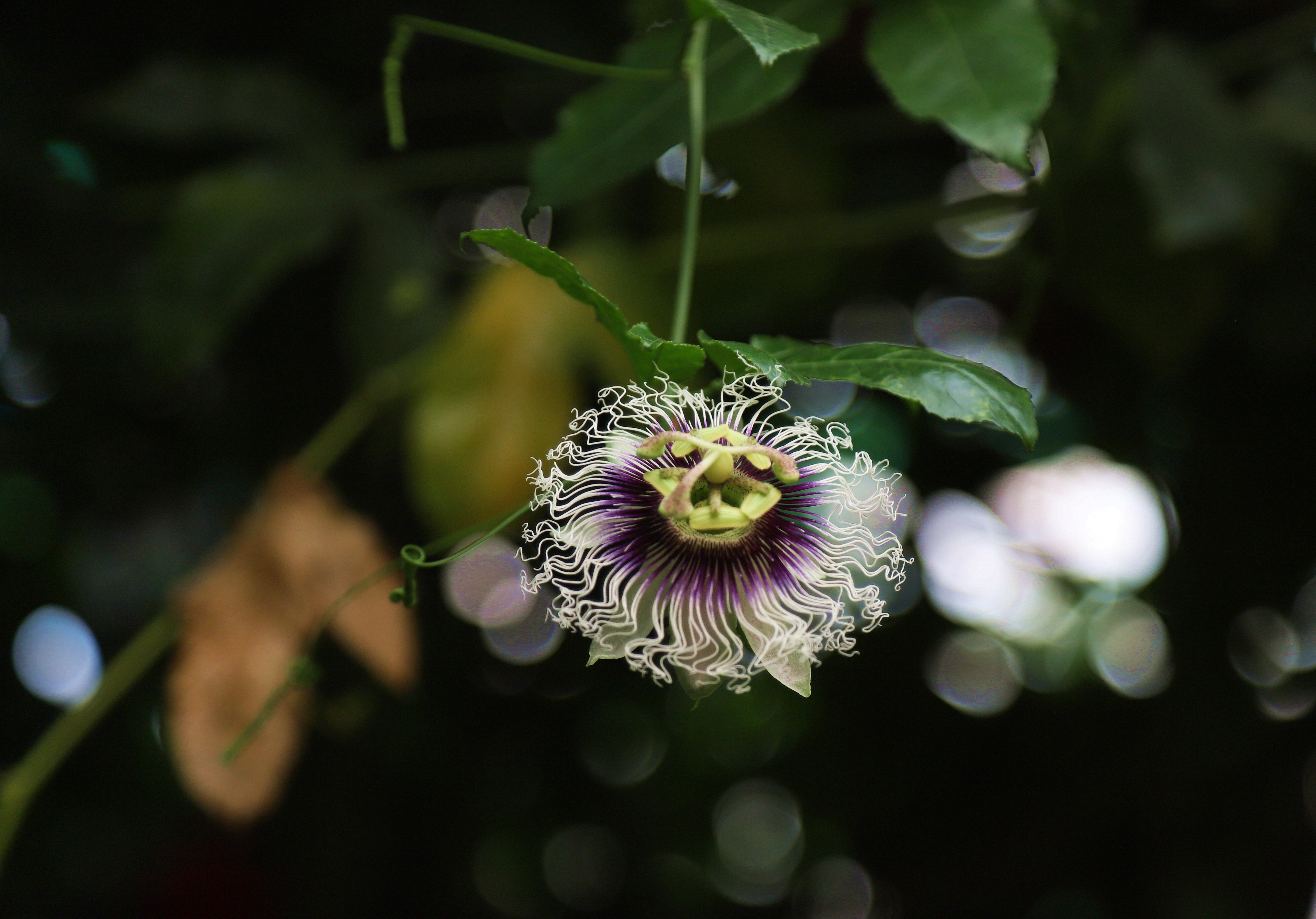 在心灵的栖息地遇见第五季