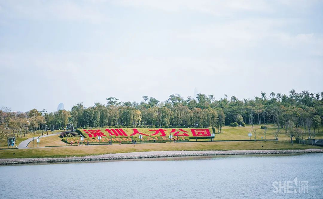 疫情期间免费开放的公园,疫情期间开放的公园有哪些