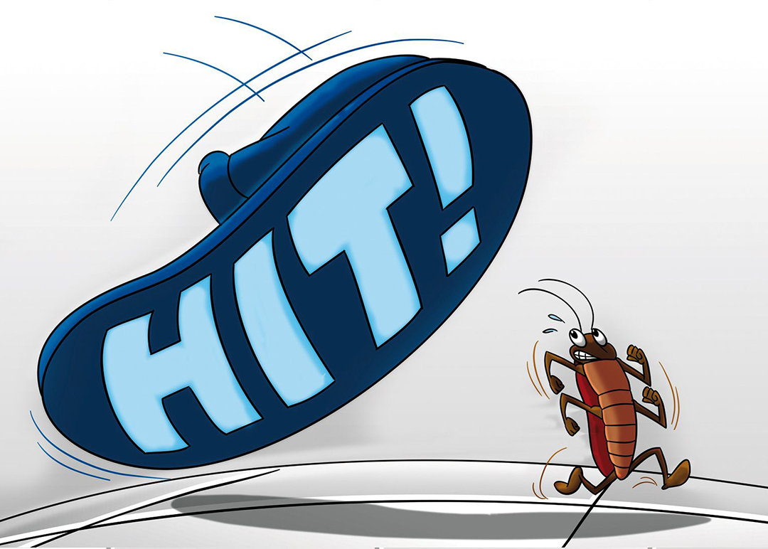 只要发现一只蟑螂家里就有上千只,发现一只蟑螂其实家里就有几十只