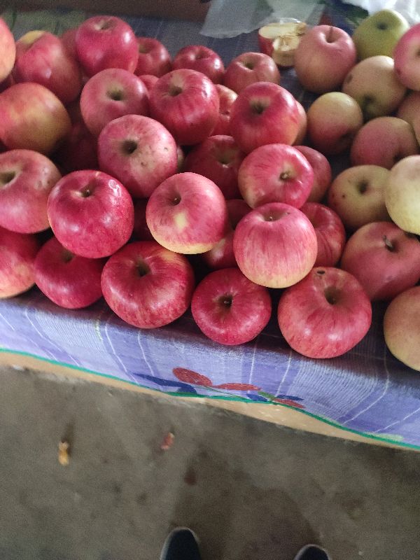 庄河最大早市,庄河南早市