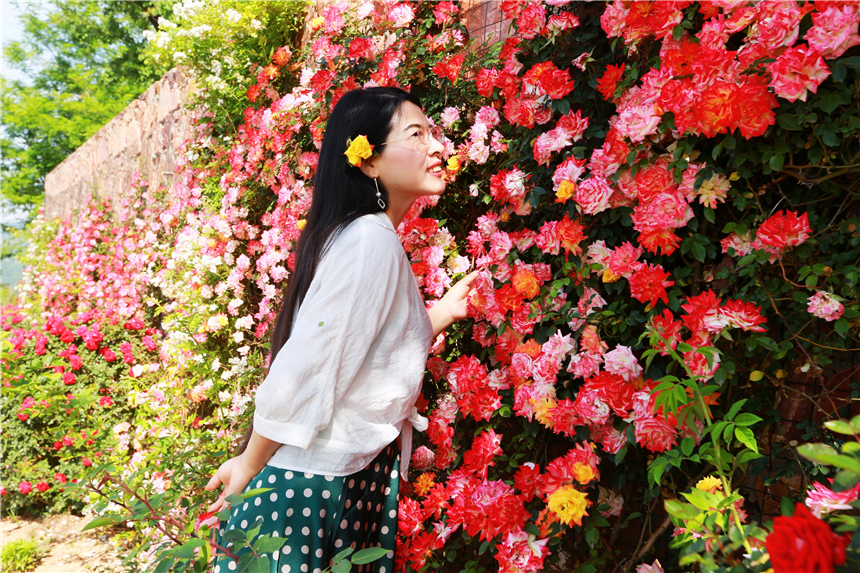 初夏河南,找寻童心,邂逅伏羲山的斜阳,一颗心萌化在云上牧场