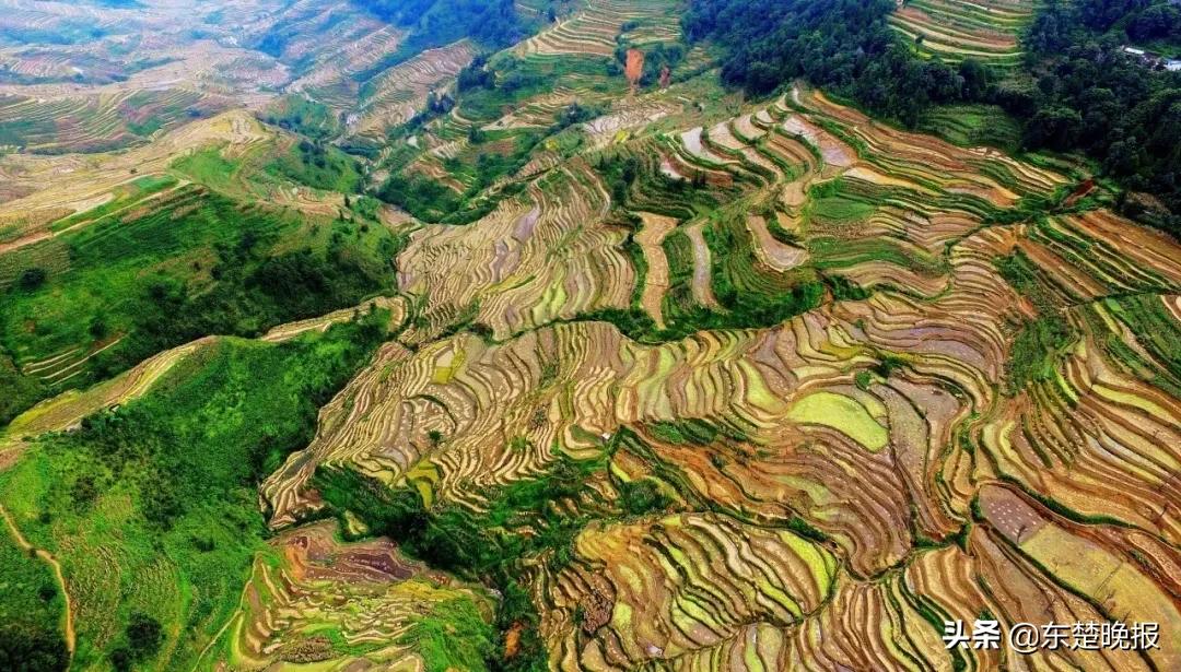 元阳梯田脱贫,红河哈尼族彝族自治州扶贫