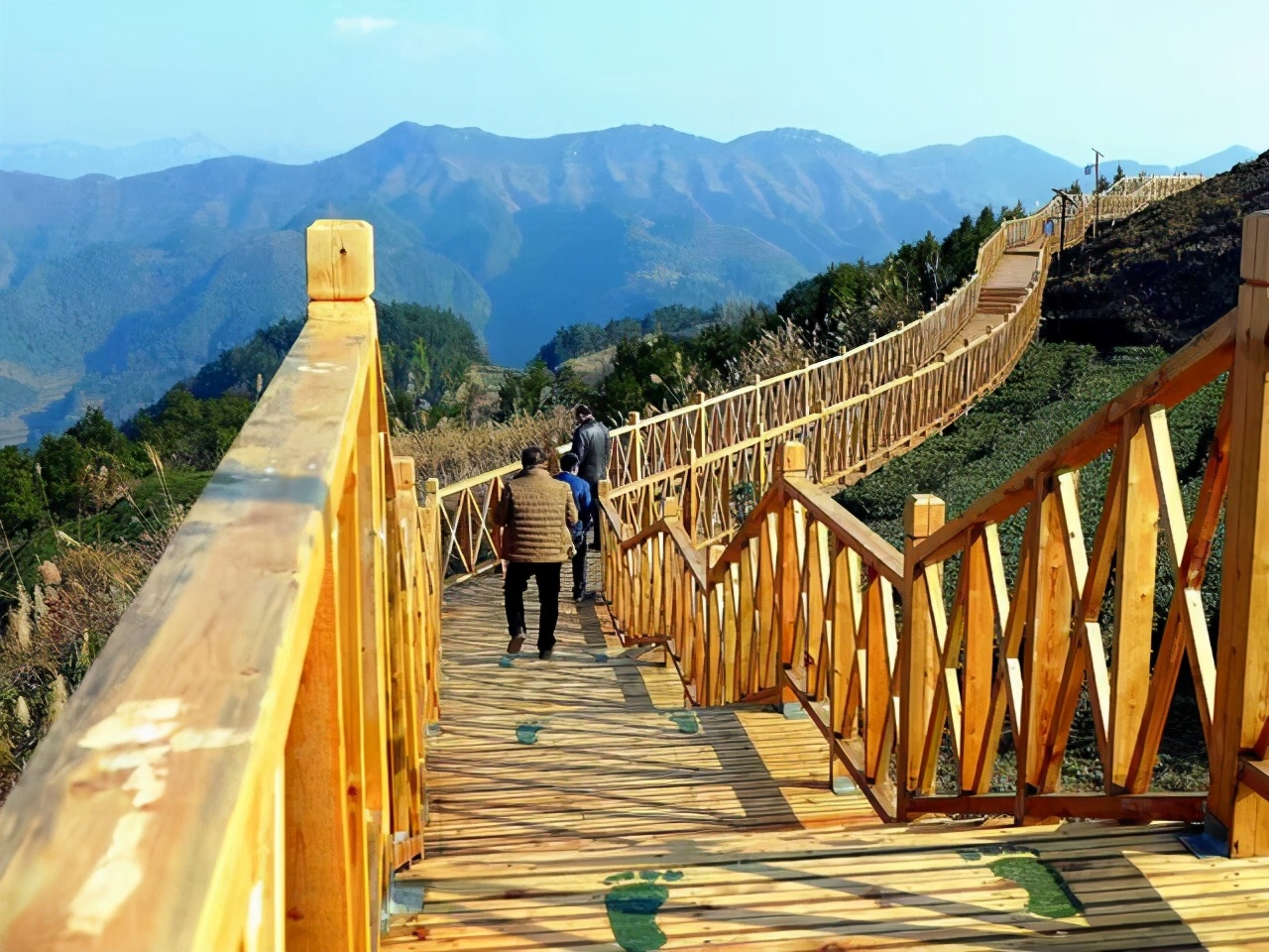 铜仁的一个县，拥有全省最大的天然石林景观，还有一棵楠木王