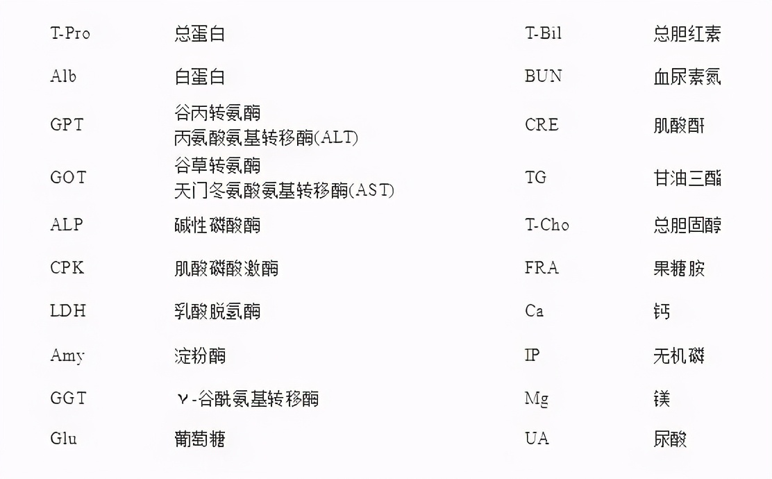 儿童肾病的隐形杀手,毛孩子得什么病