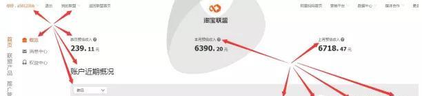 淘宝客推广赚钱的技巧,揭秘淘宝联盟副业骗局