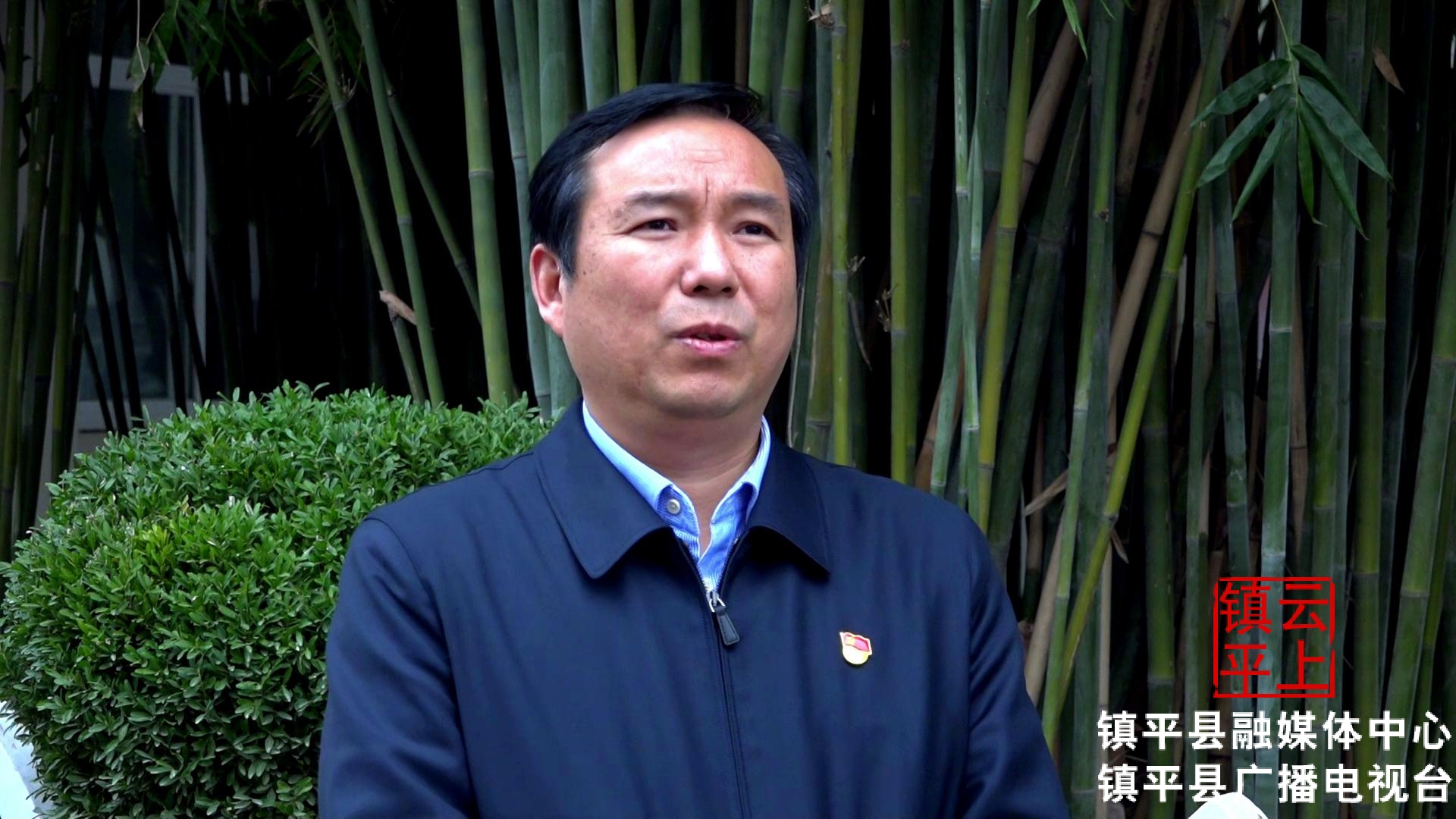 镇平县电商发展情况,镇平电商产业怎么发展起来的